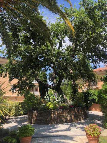 Belle Residence Au Centre De Saint Tropez Avec Piscine Et Garage Exteriör bild